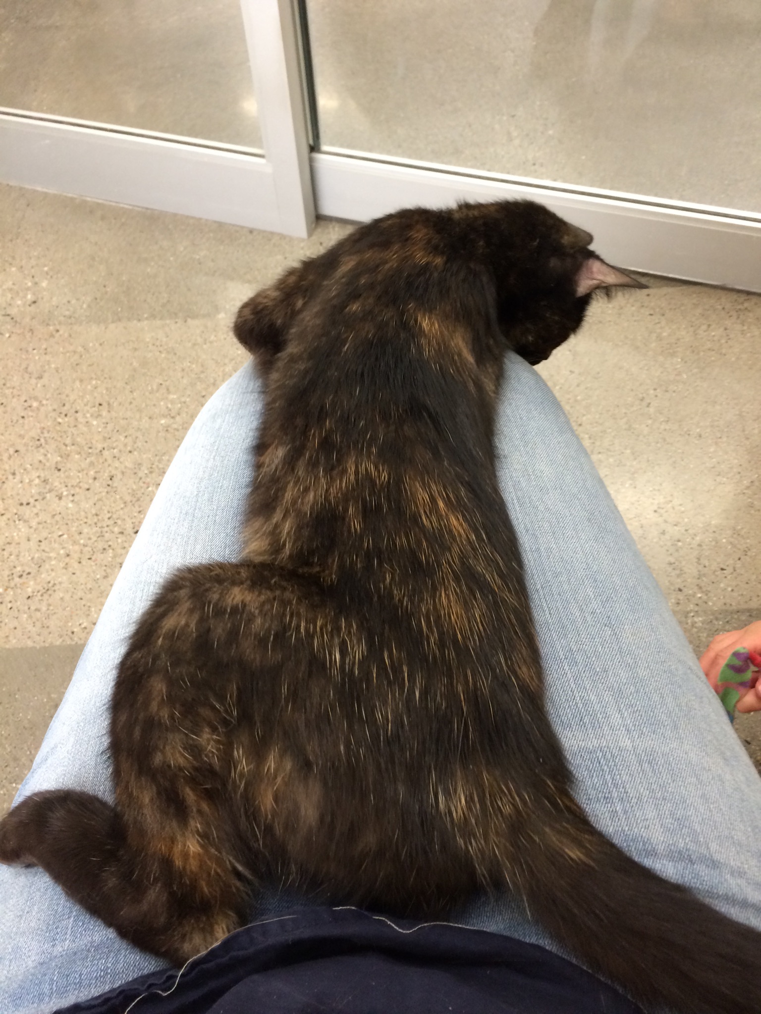 gretie-first-photos-2