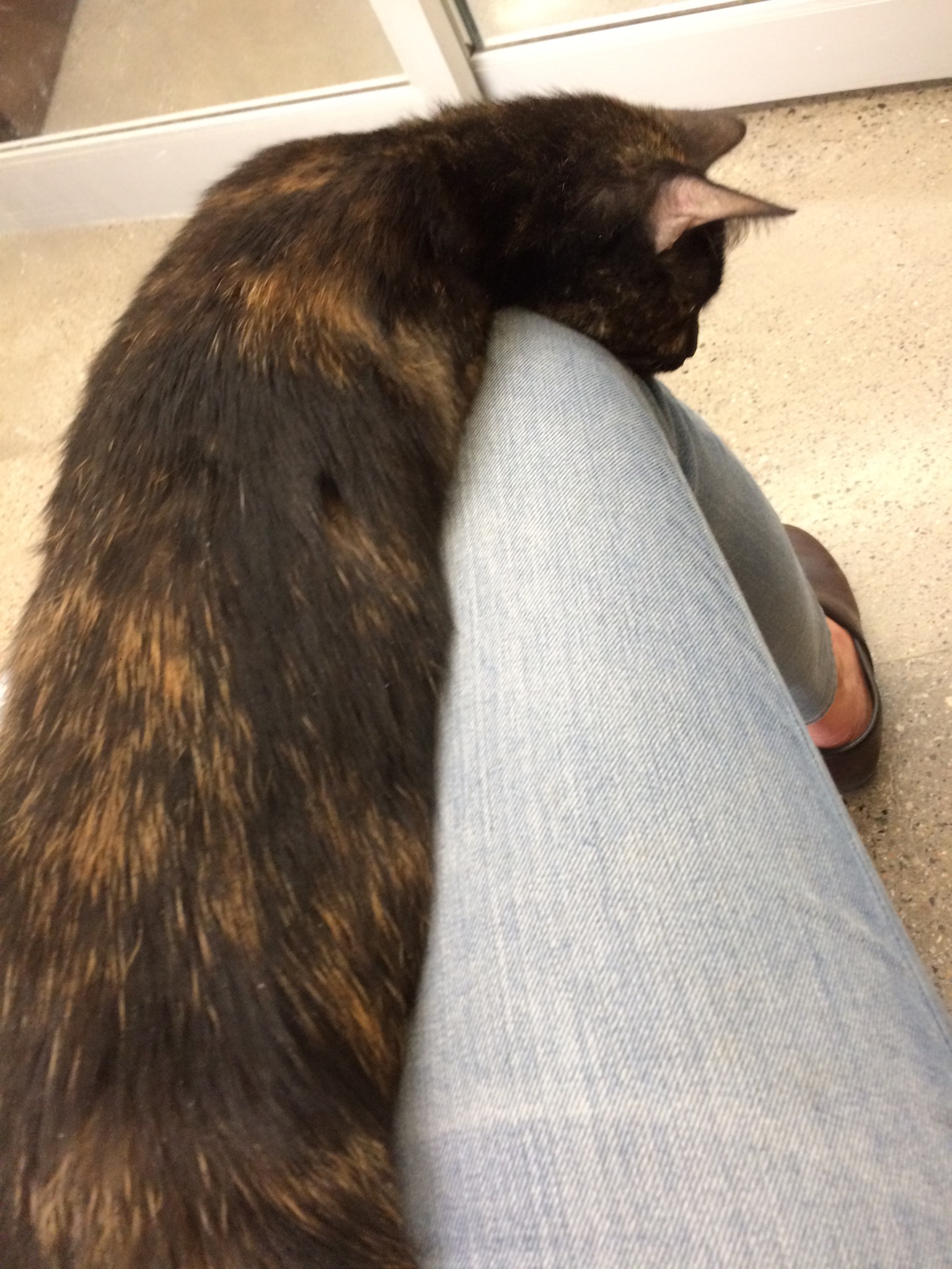 gretie-first-photos-3