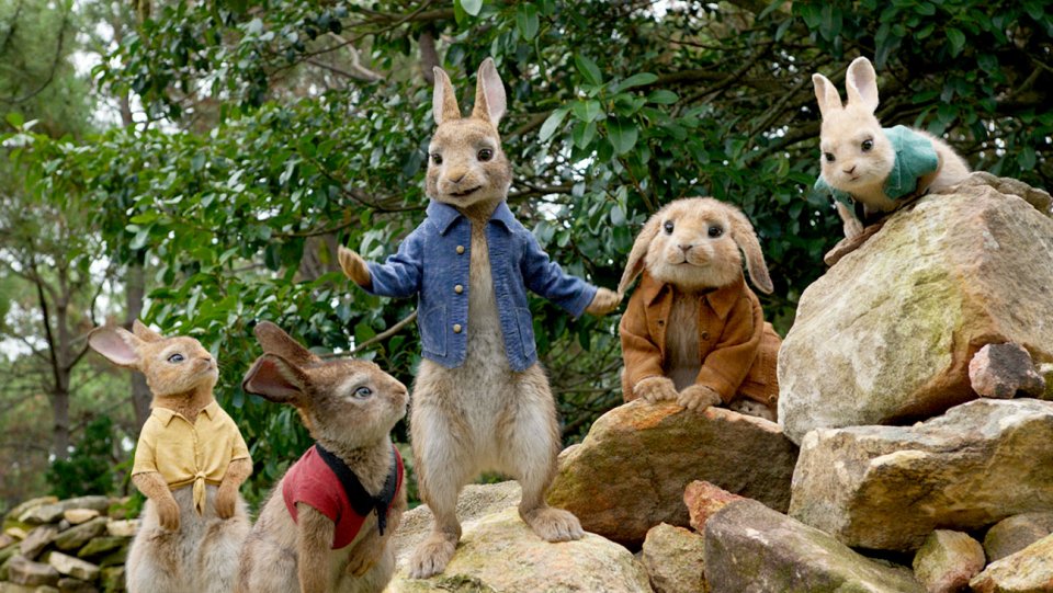 peter-rabbit