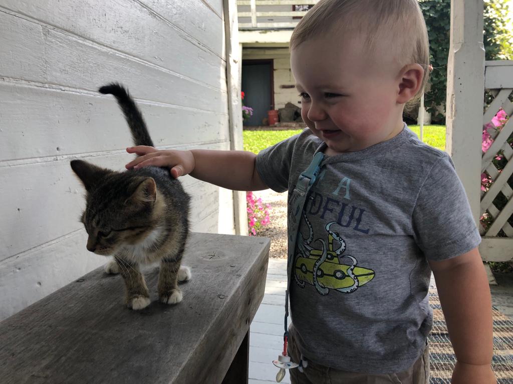 WhatsApp Image 2019-07-25 at 9.21.26 AM