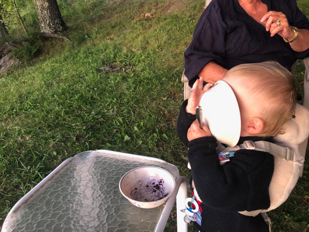 elliot-maine-2019-aug-blueberry-pie-again