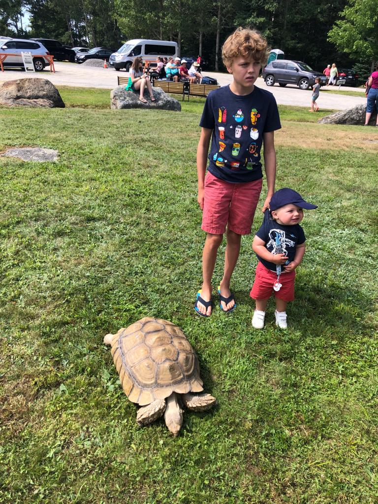 elliot-see-turttle-see-see-3